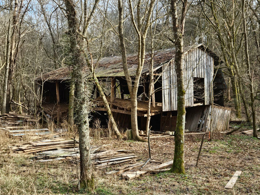 Barn Reclamation